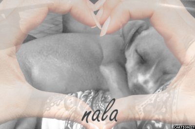 nala 