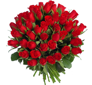 Pour que ce jour compte je t'offre c'est fleur belle est chaleureuse...
