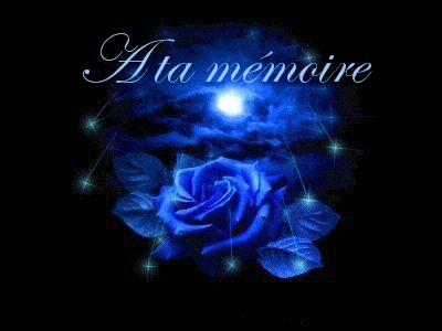 une pensé pour toi